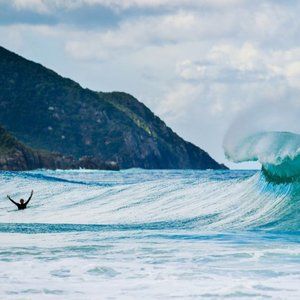 Meet your Posher, KJ